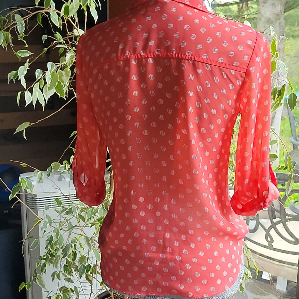 BCX Sheer Top - Picture 4 of 4